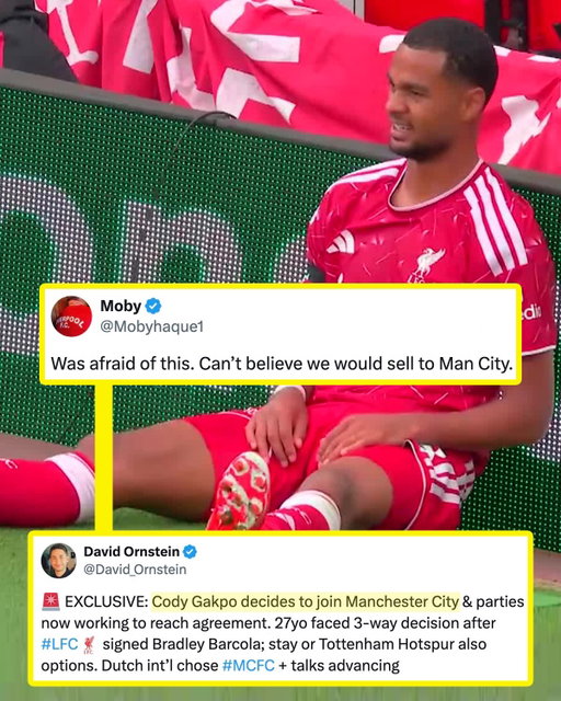 GODY GAKPO SET TO JOIN MAN CITY 👀

The Liverpool attacker reportedly will join Manchester City in the transfer window, a little more than a year after lifting the Premier League title with the Reds 😮

Pep Guardiola and Jürgen Klopp’s Premier League, this ain’t 😅