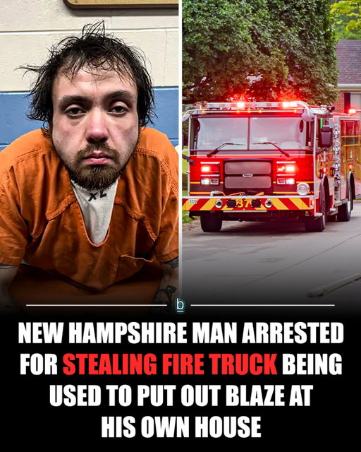 A New Hampshire man allegedly stole a fire truck while firefighters were actively battling a blaze at his own home. 🚒

Firefighters from multiple departments were responding to the fire when Nestor Roman II allegedly jumped behind the wheel of a Whitefield Fire & Rescue truck and took off.

Police say he struck another fire engine, drove over multiple water hoses and narrowly missed three firefighters before crashing on a nearby property. He then allegedly tried taking items from the home’s porch before police arrested him. 🚔

Roman is facing multiple felony charges, including reckless conduct with a deadly weapon and burglary theft, along with charges for resisting arrest, driving with a suspended license and driving over fire hoses.

The most serious charges could carry 3½ to 7 years in prison and a fine of up to $4,000. 💰

Stealing a fire truck while firefighters are literally trying to save your house is certainly one way to make a bad situation significantly worse. 😳

Follow 👉 @brobible for all things “dude” 😎 

#guys #men #dudes #bros