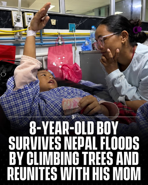 An 8-year-old boy survived devastating floods in Nepal after climbing trees to escape the rising waters. Zoyal Ghale was later rescued with a broken leg and facial injuries, while his mother spent days searching for him and feared the worst. ❤️

After being taken to a hospital in Kathmandu, Zoyal was finally reunited with his mother.

We’ve also linked a GoFundMe in our bio to support relief efforts for those affected. Every donation can make a difference and help families rebuild. 

#Pubity #Viral #Nepal