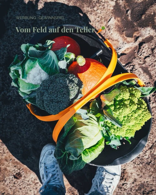 Werbung | Gewinnspiel 🥕 Vom Feld auf den Teller 👉🏻 zwei ziemlich gemüsereiche Tage mit @1000gutegruende_obst_gemuese rund um Hamburg 💚

Update: Das Gewinnspiel ist beendet, die Gewinnerin wurde informiert. Vielen Dank für eure zahlreiche Teilnahme! 🫶🏻

Los ging es für uns beim gemeinsamen Kochworkshop mit Mitch: schnippeln, kochen und ziemlich viel lachen mit jeder Menge Gemüse und den Messern von @fiskars.

Am nächsten Tag durften wir bei @landgardeg hinter die Kulissen schauen und danach ging es raus aufs Feld zu @gemuese_gehrdau 🙋🏼‍♀️ Und ich sag mal so: Wenn man mir einen Erntekorb in die Hand drückt und mich zwischen Kürbissen, Bohnen & Co. losschickt, muss man mich da auch erst mal wieder wegbekommen. Ich habe geerntet wie eine Verrückte und plane schon meine Gemüsebeete für nächstes Jahr! 😅

Ein paar Eindrücke habe ich euch im Karussell mitgebracht – und etwas zu gewinnen gibt es auch. Klickt euch mal durch! 👉🏻

🎁 GEWINNSPIEL

Ich verlose 1 Gewinnpaket mit
🥕 einem Fiskars Erntekorb, gefüllt mit frischem Obst & Gemüse von @1000gutegruende_obst_gemuese
🔪 einem Fiskars Messerset mit drei Messern

So seid ihr dabei:
Folgt @moeyskitchen, @1000gutegruende_obst_gemuese und @fiskars 
und verratet mir in den Kommentaren:

Welches Obst oder Gemüse darf in eurem Erntekorb auf keinen Fall fehlen? 🥕🍅🥦

Teilnahmeschluss ist der 04.09.2026 um 23:59 Uhr. Teilnahme ab 18 Jahren mit Wohnsitz in Deutschland. Die Auslosung erfolgt per Zufall, die Gewinnerin oder der Gewinner wird per DM benachrichtigt.

Das Gewinnpaket enthält ein Fiskars Messerset mit drei Messern, weitere abgebildete Messer sind nicht Bestandteil des Gewinns. Die Zusammenstellung des Obstes und Gemüses kann von den gezeigten Produkten abweichen.

Die vollständigen Teilnahmebedingungen und Datenschutzhinweise findet ihr über den Link in meiner Bio.

Das Gewinnspiel steht in keiner Verbindung zu Instagram/Meta und wird weder von Instagram/Meta gesponsert, unterstützt noch organisiert.

#landgardinside #1000gutegründe #obstundgemüse #ernte #moeyskitchenunterwegs
