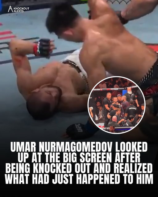 The cameras stayed on Umar Nurmagomedov after he came to, and you can see the exact moment it lands. He looks up at the big screen, watches the finish play back, and turns straight into Khabib’s arms.