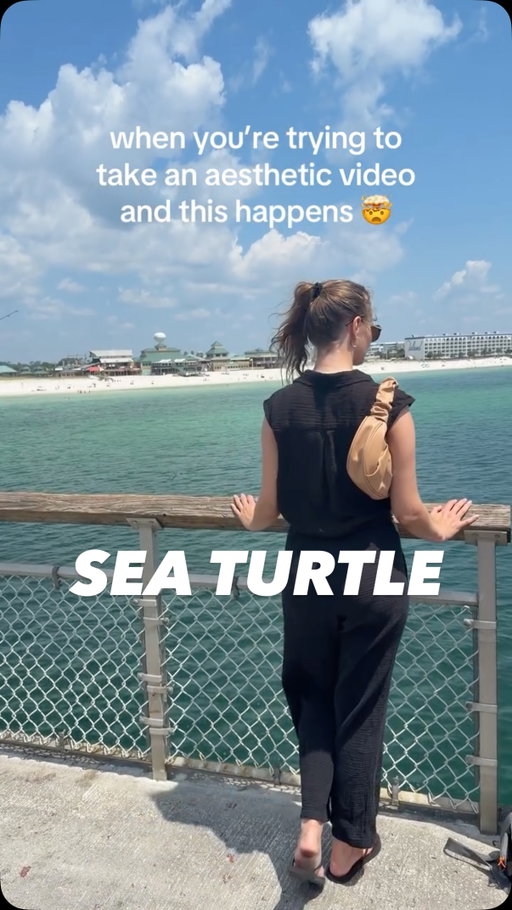 still buzzing over how magical this was 🤭🐢 #okaloosaisland #okaloosaislandpier #fortwaltonbeach #seaturtle #destinflorida