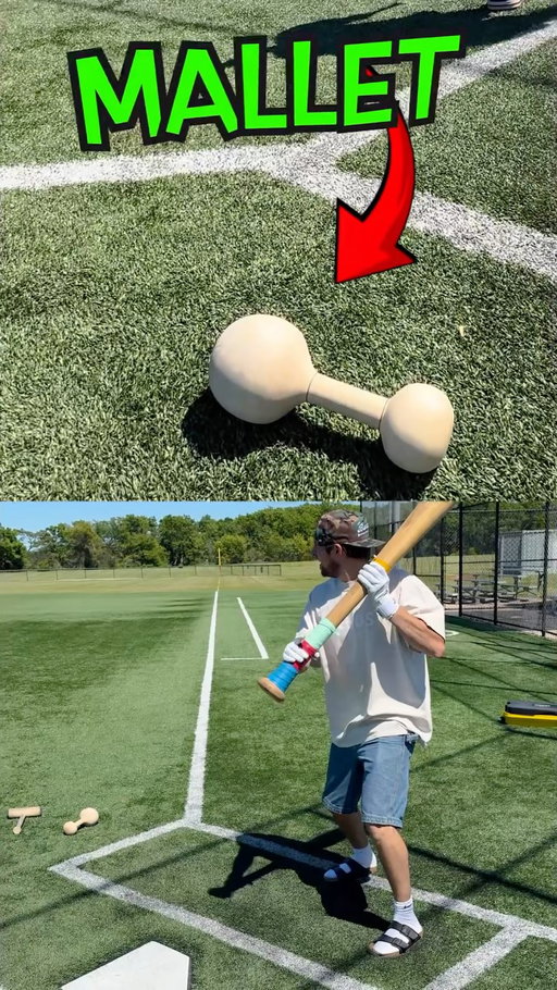 Every Hit SHRINKS The Bat