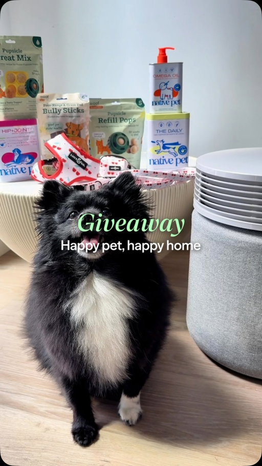#GIVEAWAY! Dog parents, this one’s for you 🐶💙

We’re giving one lucky winner the ultimate bundle for them and their pup, featuring a Blue Signature™ Large, My Woof Pupsicle Alpha Pack, plus gift cards from Lucy & Co. and Native Pet.

To enter:
1️⃣ Follow @blueairus, @mywoof, @lucyand.co, and @nativepet 
2️⃣ Like this post
3️⃣ Tag a fellow dog parent

Good luck! 🐾

NO PURCHASE NECESSARY. Void where prohibited. The Happy Pet, Happy Home Giveaway is sponsored by Blueair. Open to legal residents of the 50 U.S. & D.C., 18+. Begins when this post goes live on 8/31/26 and ends at 11:59 p.m. ET on 9/6/26. See official rules via the link in bio. This promotion is in no way sponsored, endorsed, administered by, or associated with Instagram.