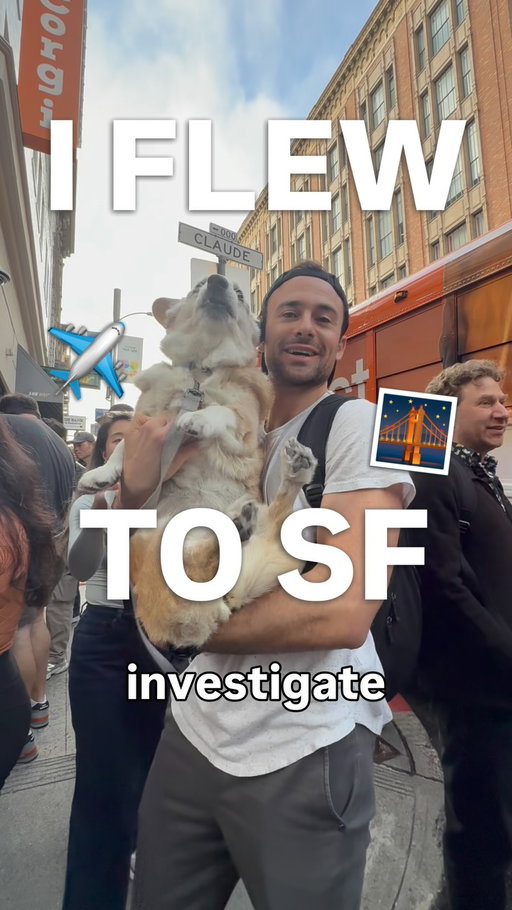 This $4B startup is run by dogs 🐶 @corgi.cafe.sf
