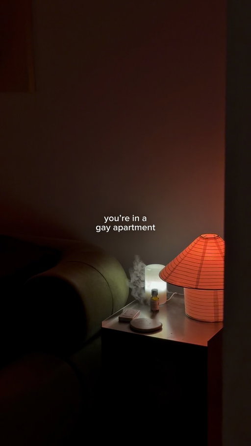 how you know your in a gay apartment 🛋️
-
-
-
#apartmentinspo #lamps #cozyinteriors #menslifestyle