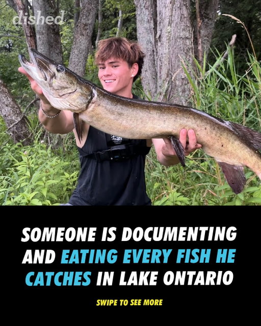 Dinner is SERVED 👀🎣

21-year-old Ontario student Quinn Rooney (@reelinrooney) is documenting himself catching, cooking and eating fish from Lake Ontario in a social media series called “Eating out of Lake Ontario until I get sick” and it’s already eight episodes in 🤯

While Lake Ontario’s water quality has improved significantly over the decades and many fish are generally considered safe to eat within strict consumption guidelines, Rooney admits there are still health risks and says people shouldn’t necessarily follow his lead ‼️

Would you try a Lake Ontario catch? ⬇️