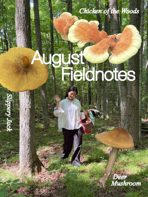 August insta dump + new vlog on yt 🤩 ~ feeling accomplished 🙏

booked my 1st mushroom foraging trip after being influenced on my redwoods trip (as seen in vlog)

cut in half to check for discolouration (old) or bugs 🐛 this one is noice and fresh!

what’s in my bag haul 👛

wetlands canoe tour at RBG

wetlands canoe tour GONE WRONG ⛈️ jk it was lk magical and I felt like a true adventurer

DRENCHED

Beach day w my gorls 💘💘💘

🩵 PINERY PROVINCIAL PARK 🩵 haven’t been back since my high school graduation trip 11 years ago! can’t believe it’s been that long…

my bf’s parents made my fav, mejedera, and my bf’s fav, harraa osboa

taking my bike into the city

cute mailbox in the countryside

🤍 grandma turned 88 end of July 👵🏻

ginormous 丝瓜 idk what the English name is but if u let it grow old it’s the plant that u can make loofas with 🧼

my fav Toronto ice cream shop w my Toronto shorties

bingo poster I made for the boy to go on adventures and do his chores (aka BOOK UR DOCTORS APPT pls)