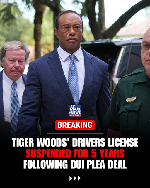 JUST IN: Tiger Woods faces a five-year driver's license suspension following a DUI hearing.

The judge hands Woods two five-year suspensions but allows him to serve them concurrently, meaning they run at the same time rather than back-to-back.

"There are no exceptions...If you were to drive for any reason at all, you go immediately back to jail."