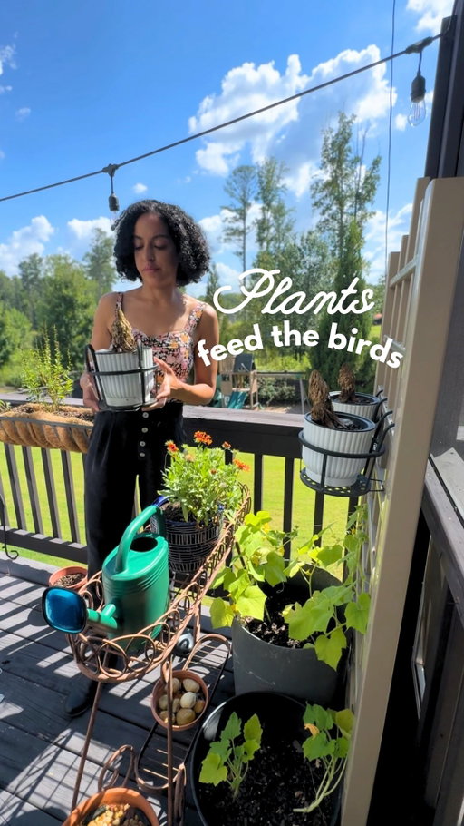 Gardening was never truly meant to be about aesthetics. It was meant to be about the ecosystem. I’m learning how to create a pretty garden that also fulfills its true purpose to benefit nature. I can have both, it just takes a wee bit of patience 😏