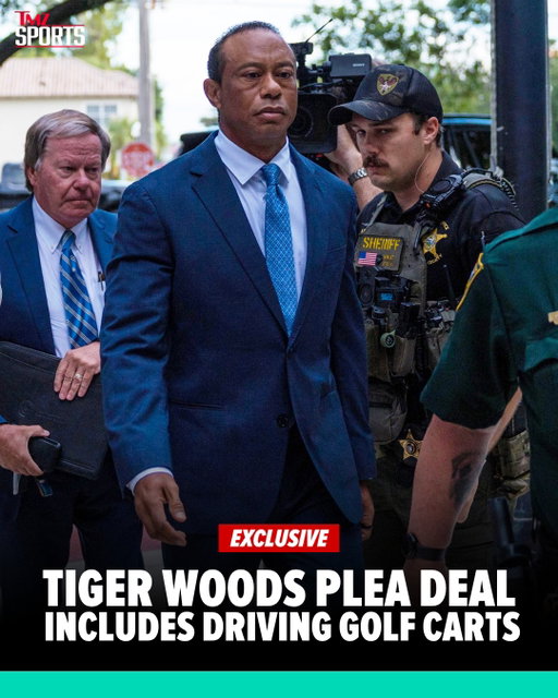🧑‍⚖️❌ Tiger Woods' plea deal may put a crimp in his game, because the judge may have made golf carts off-limits for the next 5 years.

FULL STORY AT THE 🔗IN BIO.