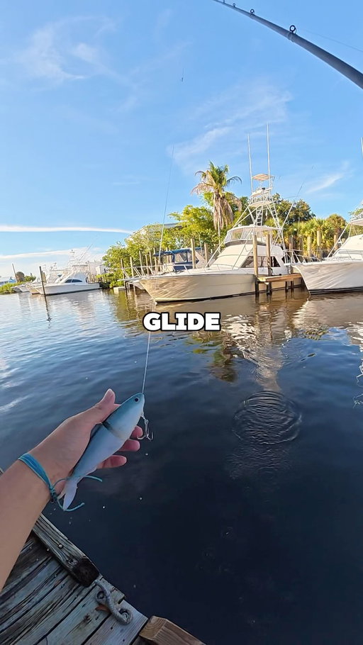 CATCHING MICRO POONS ON A SOFT GLIDEBAIT⁉️ @randrtackle 

•
•

#fishing #tarpon #tarponfishing #florida #swimbait