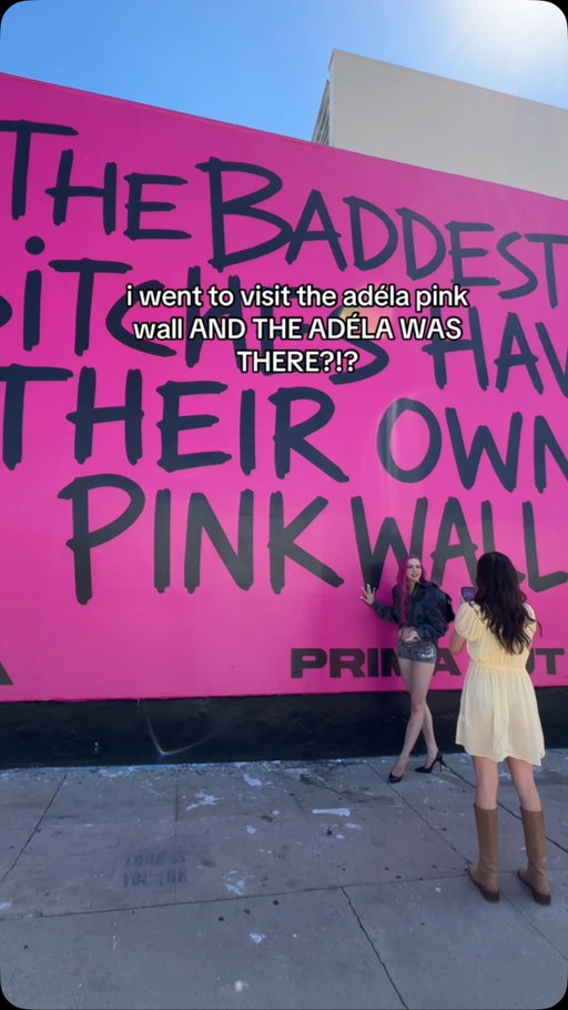 I JUST MET THE ADELA?!?! HELLO?!?! @adelajergova 

adela, adéla, aint in LA, prima, LA, pink wall

#adela #adéla #aintinLA #prima #swaggerina
