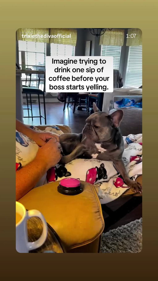 Story by sophieeggleton on Sep 2, 2026
