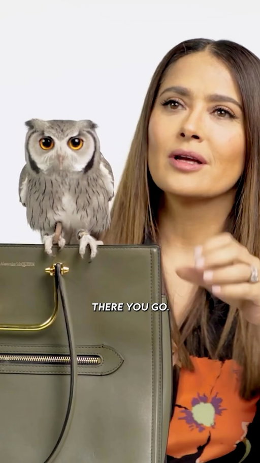 Happy 60th birthday to Kering’s mother #SalmaHayek! I hope everyone knows my dream is to be reincarnated as Salma’s pet owl.

🎞️: InStyle, 2021
