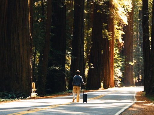 a trip down the Pacific Coast with friends and my @Away Topside Carry-On #Awaypartner #pacificcoast #roadtrip