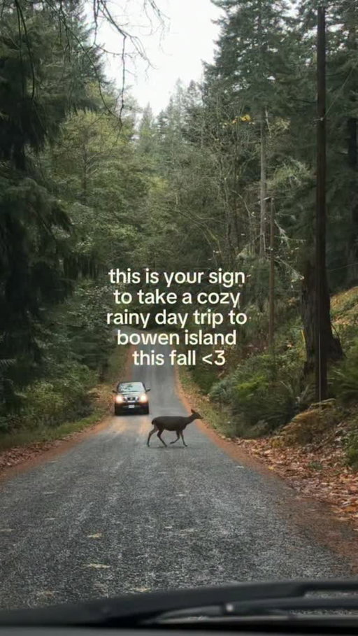 BOWEN ISLAND GUIDE 🌲🦌🌧️🌀🤎✨☕️

Okay, here’s everything I think you should know about a day trip to Bowen!

IMPORTANT TO NOTE:
During the Fall/Winter months, many shops change their hours. Be sure to check online for updated info. Also, be sure to support the local businesses while you’re there (especially through shoulder season) 🥹

GETTING AROUND:
You don’t need a car! Most of the places I mentioned here are within walking distance. However, a car is useful for reaching places deeper into the Island.

FERRY INFO: 
There are no ferry reservations for Bowen, so you just need to go to the @bcferries site to check the schedule! ALSO - your ticket is a return fare. 

WHERE TO HIKE NEAR SNUG COVE (aka the ferry terminal area):
– Crippen Park area (Killarney Lake, Bridal Veil Falls) – Dorman Point look-out trail – Mt. Gardner
If you’re looking for trails, I’d suggest heading to www.tourismbowenisland.com/destination/information/ (@bowenislandtourism) for lots of great info and maps.  
IN THIS VIDEO:
@tellyourfriendscafe 
@narwhalonbowen 
@branchonbowen 
@seabird_shop 
@bowenislandflowershop 
@wrenboutique  @toshhomeandgarden 
@sangredefruta 
@cocoawestbc 
@theburrowbowen 
@artisaneats 
Knick Knack Nook
@mistthermal 

Got any other questions? Feel free to ask in the comments 💛

#bowenisland #bowenislandbc #bowenislandtourism #bowenislanddaytrip #bowenislandlife