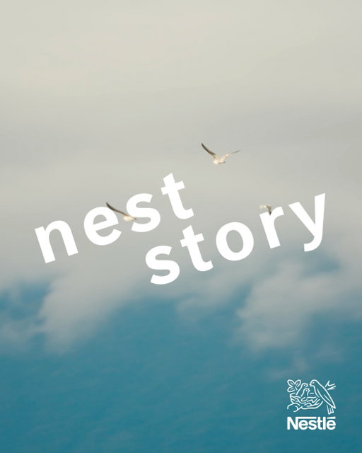 At the heart of our 160-year history is a symbol that has crossed generations, languages and continents: the Nest. The same logo carried into homes around the world 🪹