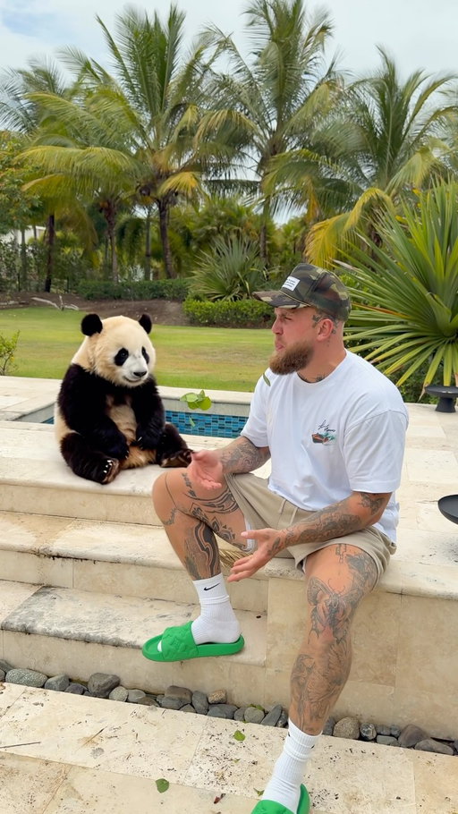 meet my new panda, Tony 🐼

We just dropped my new fav @getw scent, Bamboo Burst, so i got a Panda because it’s made with crushed bamboo leaves, crisp fir needle & wild ginger root.

Try it yourself at Walmart or Amazon🎋