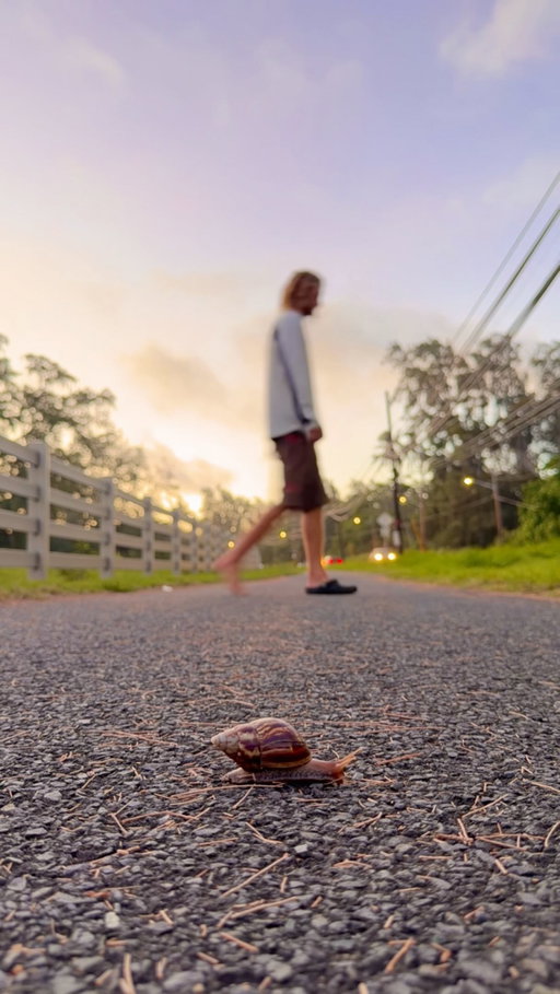Side quest: unlocked 🐌

@isaacperrins found a snail while on a sunset bike ride and turned it into a timelapse. He propped his phone on his shoe and walked back and forth to show the speed difference.

“Most of the videos I make aren’t planned, they just come from simply enjoying life and being open to whatever happens.”

Video by @isaacperrins

Music by @tvgirl and @jordananye