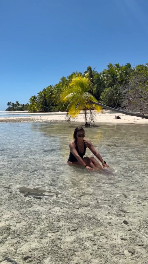 Baby sharks 🥹🦈🩵

So why are there so many baby sharks here? This was taken in beautiful Fakarava, French Polynesia, where these shallow, calm lagoon waters provide an important nursery habitat for young sharks. What makes this even more special is the protection given to sharks throughout French Polynesia. Shark fishing is prohibited, along with the possession, sale, and commercialization of sharks, and Fakarava’s waters are managed as a protected area and UNESCO Biosphere Reserve.

Seeing so many baby sharks swimming freely in the shallows is such a beautiful reminder of what can happen when we protect the ocean and give marine life the space to thrive. 🌊🩵

Fakarava has been one of the most incredible places we’ve visited, both above and below the surface. 🥹

With @tahititourisme 🫶🏼

#sharks #babysharks #oceanworld #oceanlove #frenchpolynesia