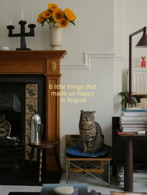 we’ve been a little quiet lately, summer somehow became fuller and faster than we expected, and August seemed to disappear in between it all.

but looking back, we’re glad we have these little moments to remember it by 🌻

#slowlivinghome #homemoments #catsathome #interiorinspiration #everydayinteriors
