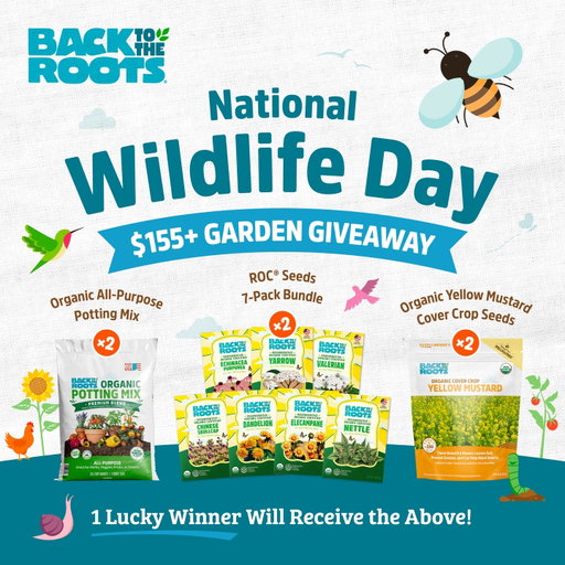 🐝🦋National Wildlife Day $155+ Giveaway! 🦋🐝

A garden can feed more than your family - it can nourish the wildlife that depends on it, too!

With the potential to turn your backyard into a thriving ecosystem for birds, butterflies, bees and more, we’re giving one lucky winner everything they need to start growing a wildlife-friendly garden with a friend. 

2 x ROC Seed Packs - 7 varieties of our Regenerative Organic Certified seeds to improve soil health. 
2 x Yellow Mustard Cover Crop Seeds - includes 25,000 seeds to attract pollinators. 
To enter: 
4 x Organic Potting Soil 1 cu.ft - ideal for beginners growing their first wildlife-friendly garden.

1. Follow @backtotheroots_official.
2. Comment ‘WINNER’
3. Tag a friend you want to grow with. 

No purchase necessary. Contest ends 11:59 PM CT on 9/18/26. Open to US shipping addresses only. The winner will be notified via DM after contest end date. Void where prohibited. This contest is in no way sponsored, endorsed, administered by or associated with Instagram.

#organicgardening #gardeninggiveaway #nationalwildlifeday