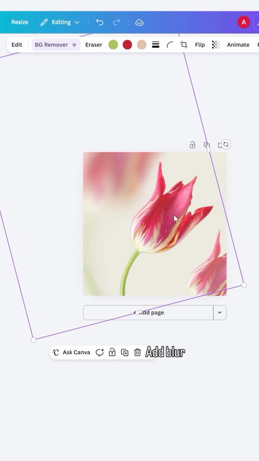 10 minutes in Canva no fancy software ✨

someone asked for the flower + blur combo specifically so here’s exactly how it’s built! stock image from @envato then blur, transparency, grain and haze.

(not an ad, any software with those four effects will do it. I just used @canva )

do u want to see more tutorials from design combos?

[graphic design tutorial, canva tips, design combos, blur effect, graphic designer]