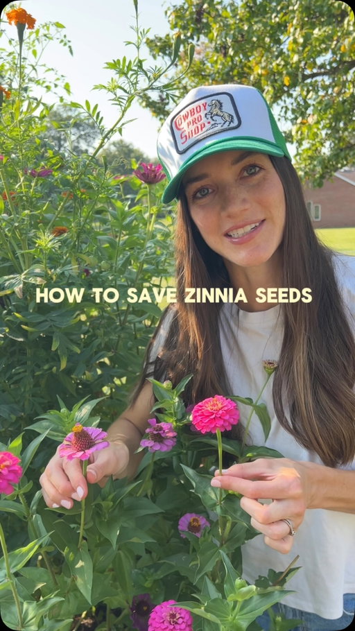 Here’s your sign to save those zinnia seeds!!! 🌸🌼

#gardening #garden #raisedbedgardening #zinnia #zinniaseeds 

mom creator, garden content creator, gardening content, garden life, mom content creator, raised bed gardening