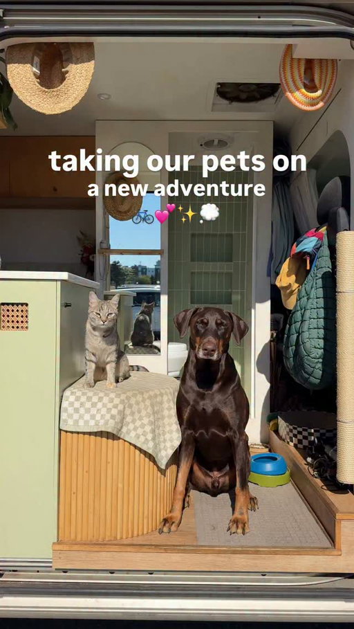 You guys know I’ve been feeling ✨emotional✨ about Tonkins getting older, but our adventures don’t have to stop just because our pets start slowing down. They might just start looking a little different. 🥹🐾 #LectricPartner 

One of the reasons we were so excited to get our @lectricebikes XP4 e-bikes was the ability to bring Tonkins and Friend along for the ride. With the added pet carriers, they can still come with us on longer adventures without Tonkins having to walk every mile himself.

The XP4 gives us the freedom to cover more ground, explore farther from camp, and bring the pets along without worrying about wearing them out. And having the pedal assist makes carrying the extra weight of a pet + carrier feel a whole lot more manageable, especially on hills. The XP4 and the pet carriers fold down, making them easy to store! Can’t wait to see where this new adventure takes us 💕 #lectricebikes #vanlifewithpets