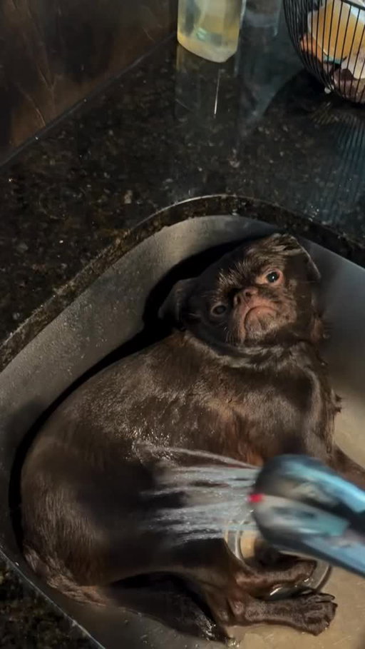that’s his spa now 🚰

#InTheMoment
 
Video by @misterbeanito