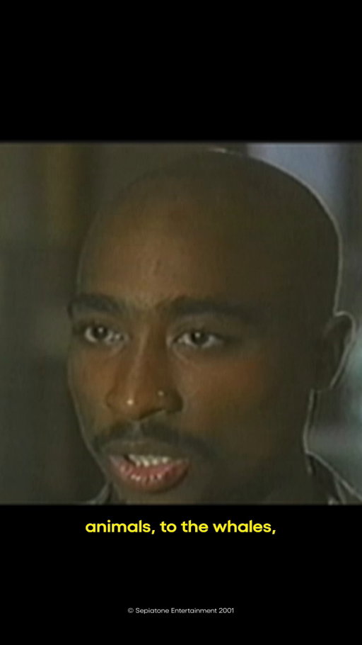 Like a rose growing out of concrete 🥀
•
•
•
Stream Tupac Shakur: Before I Wake for free On Demand on Pluto TV!
#tupac #beforeiwake #tupacshakur #documentary