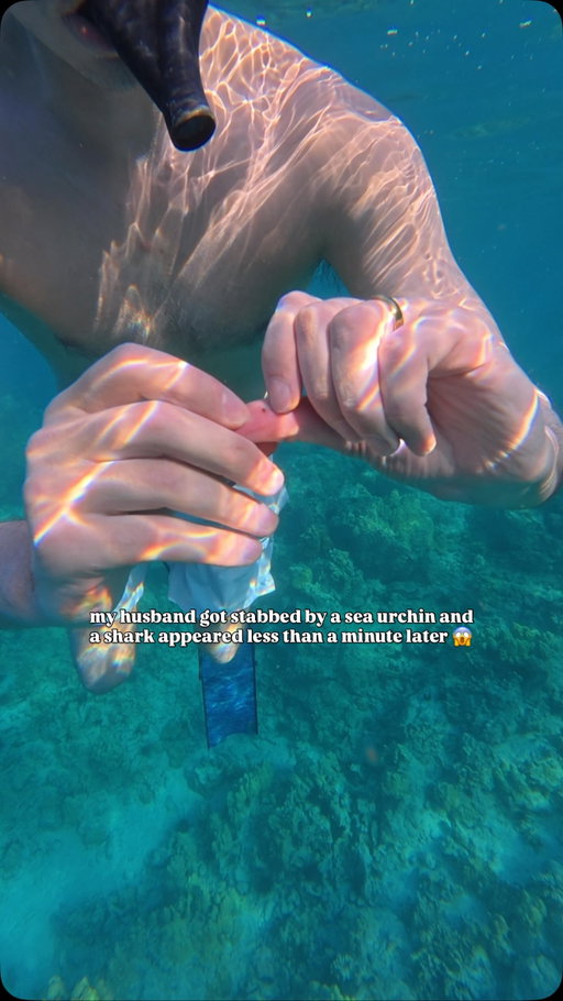 I thought that the whole “sharks can smell blood” thing was a myth?! Video of the shark coming soon!👀🦈