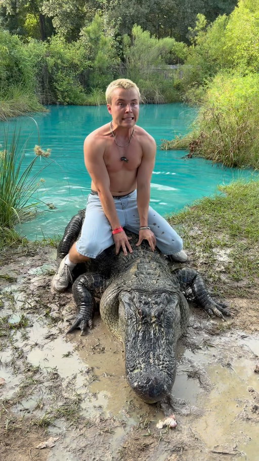 Welcome to Louisiana 🤣🐯💜💛

#lsu #tiki #cfb #alligator