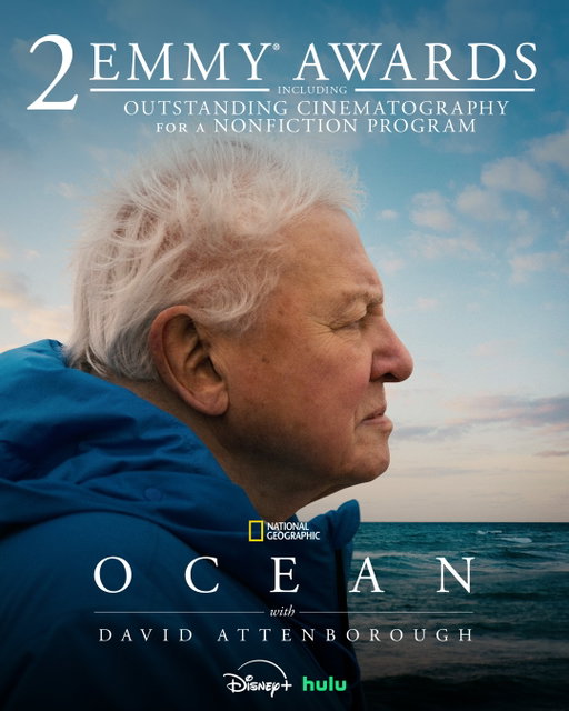 We’re proud to announce National Geographic’s wins at the 2026 Creative Arts Emmy® Awards 💛 Congratulations to the teams behind #TucciInItaly and #OceanwithDavidAttenborough for their incredible work!
 
All titles now streaming on @disneyplus
