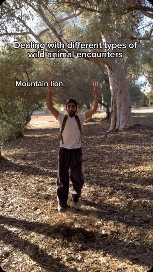 Dealing with different types of wild animal encounters