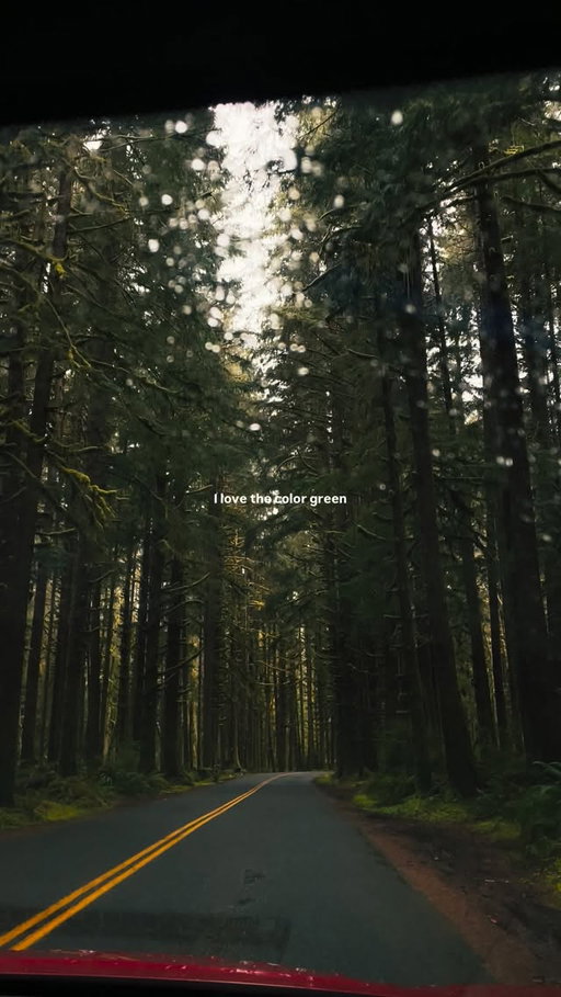 Green is life

#travel #green #trees #vibes