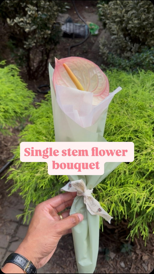 How to make a single stem flower bouquet
#flowers #bouquet