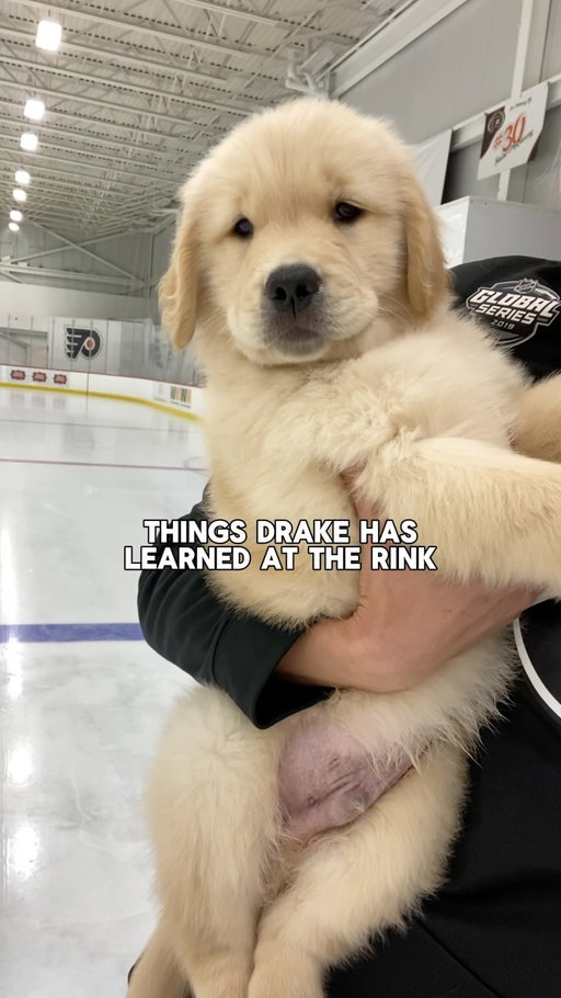 from day one, Drake was born to be on the ice… you can’t convince me otherwise 🙈