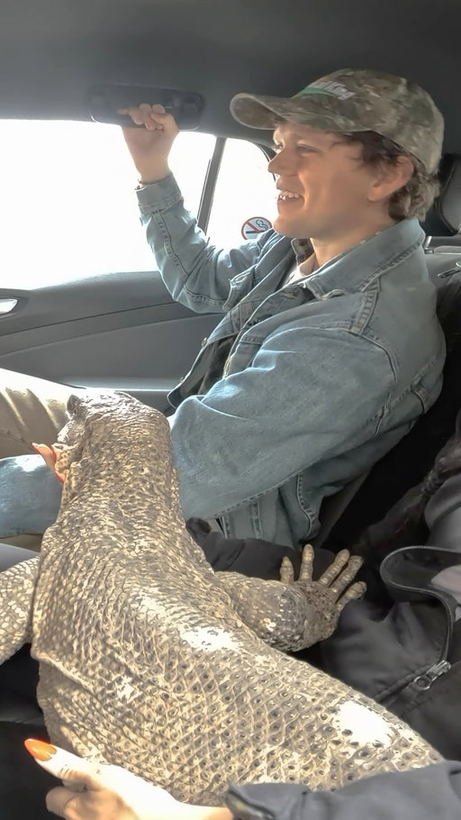 I tested a pet friendly uber with a giant lizard