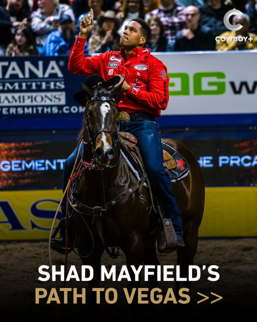 Shad Mayfield’s 8th NFR is within reach ��

Despite missing the first half of 2026 after multiple hip surgeries, Mayfield has positioned himself to clinch another spot in Las Vegas in the final three weeks of the regular season. Swipe through for a look at the two-time World Champion’s path to the Thomas & Mack ➡️

We’re following Mayfield every step of the way for “$had,” presented by Barrilleaux Energy Services, premiering September 24 at 8P ET on Cowboy+ 📺

Mayfield as of Sept. 9 is 18th in the PRCA World Tie-Down Standings, with $107,795 earned on the season. While Mayfield had a few thousand dollars in earnings from rodeos last fall, most of his 2026 money has come since his return to the arena in June.

But it’s a crowded bubble in the tie-down roping, and Tom Crouse is currently the last man in, at 15th, with $113,001.85 in earnings. Mayfield trails Crouse by less than $6,000, but two ropers sit in front of Mayfield, and the next four behind Mayfield in the standings are within $10,000 of him.

A run to secure 2nd place might not sound thrilling, but Mayfield’s 8.9-second run in the NFR Open finals back in July might prove to be crucial. The run ultimately clinched Mayfield a spot in the lucrative Cinch Playoffs, starting at The Puyallup Rodeo this weekend. The Cinch Playoffs take the top 23 in the playoff points standings, plus the NFR Open winner. But since NFR Open winner Haven Meged is safely within the top 23, the playoff exemption rolled down to the NFR Open runner-up in Mayfield, who sits No. 32 in the playoff standings.

Mayfield has more than enough opportunity to move into the Top 15, starting this weekend in Puyallup. A top 4 finish in Puyallup would advance him to The Governor’s Cup in two weeks, a lucrative end-of-season chance to secure a spot in the NFR. And between now and then, there’s the Pendleton Round-Up and the North Dakota Roughrider Cup, which also offer hefty payouts. 

We’re following Shad “Money” Mayfield’s comeback for “$had,” presented by Barrilleaux Energy Services, premiering September 24 at 8P ET on Cowboy+ 📺