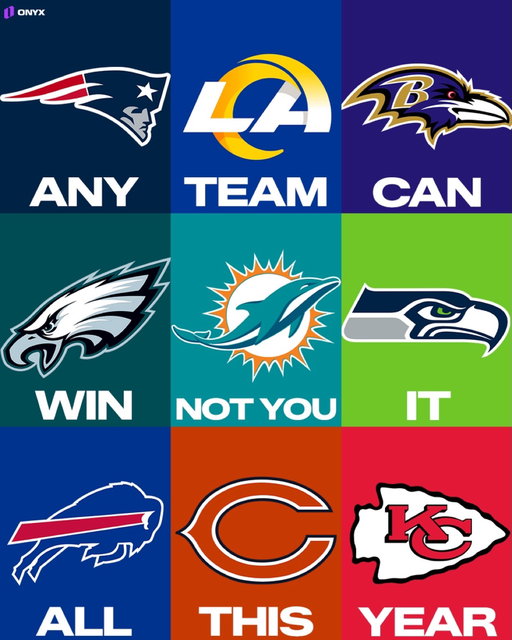 This NFL season is truly ANYONE’S game … almost 

#nfl #football #dolphins #nflmemes