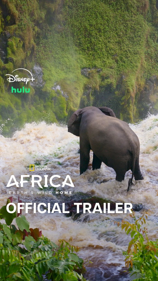 Presented by @Rolex. Welcome to Africa 🌍 Africa Earth’s Wild Home takes you deep into the heart of our wildest continent, bringing you closer to its animals, landscapes, and the people watching over it than ever before.

Through its partnership with the National Geographic Society and as part of its Perpetual Planet Initiative, #Rolex supports expeditions exploring and protecting remarkable places around the world, a selection of which are featured in Africa Earth’s Wild Home. #PerpetualPlanet

Africa Earth’s Wild Home, narrated by @wunmimosaku, premieres Friday, October 2 at 8/7c on National Geographic. Streaming next day on @DisneyPlus and @hulu.
