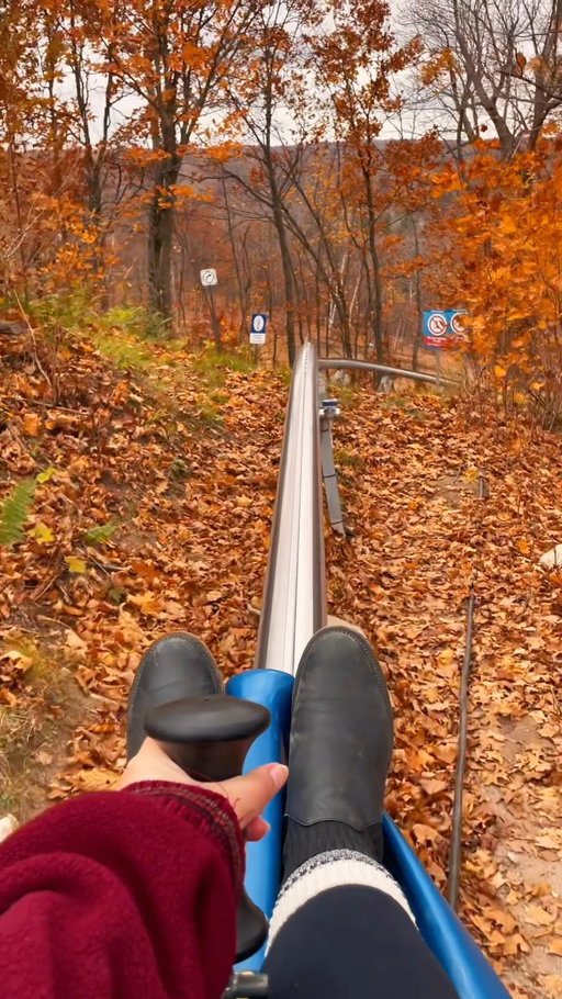 Fall mountain roller coaster 🍂⛰️ It’s just outside of Ottawa and SO much fun! 

I went on this about 2 years ago and I can’t wait to go back 

📍 @campfortune 

#fall #mountaincoaster #fallincanada