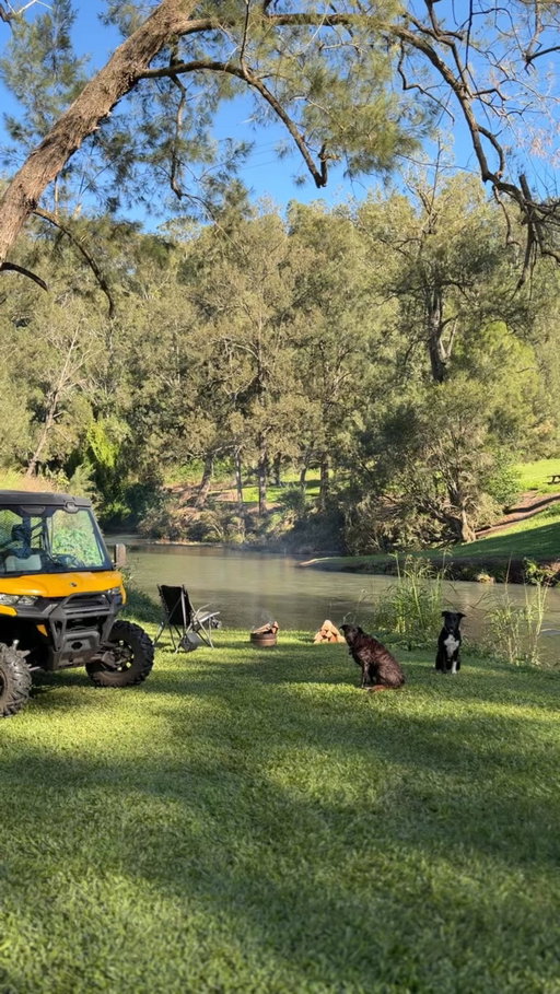Looking for more information? ⬇️

⛺️ - @hipcampau 

Score breakdown

Free 0/1
Dog Friendly 1/1
Campfires 1/1
Bonus Point 0/1
Uncrowded 1/1 

Swimming/ Water 4/5 Campsites 5/5
Scenery 5/5

🗺️ - To get your link, simply comment on this video and it will be sent instantly to your inbox.

⛺️ - The TerrainOne App is here! Australia’s first camping application with Video Reviews! To download the app, click the link in my bio or drop a comment and get sent the link. 

#hipcamp