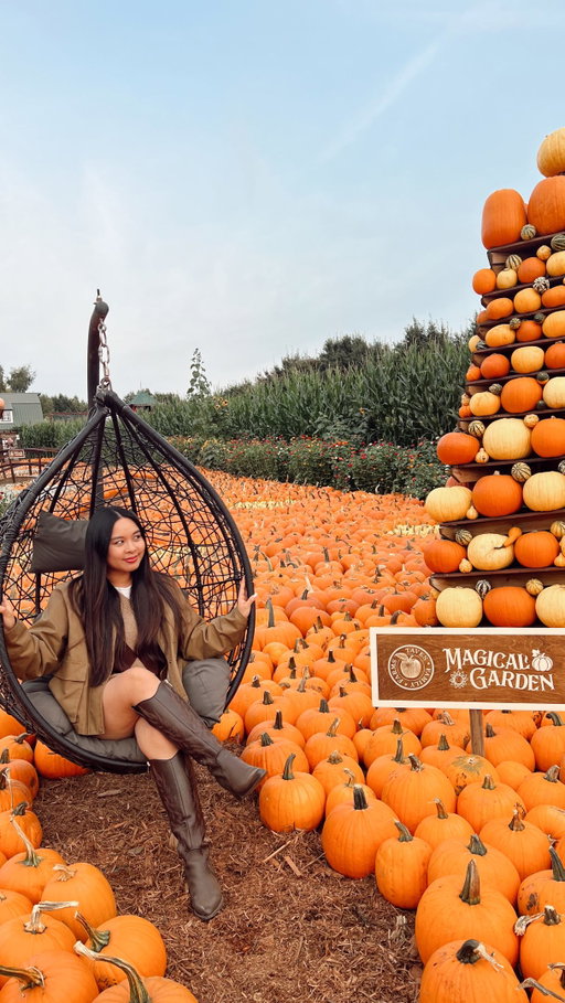 Fall officially starts with the Magic of Fall @tavesfarms 🍂✨

The Magic of Fall is back, and we’re soaking up every bit of it — sipping apple cider, wandering through the pumpkin garden, exploring the corn mazes, picking apples, and checking out the new 150-foot slide at Mystical Meadow.
From September 12–October 31, Taves Family Farms transforms into the ultimate fall day trip for the whole family

📍333 Gladwin Road, Abbotsford, BC

#tavesfarms #fallmagic #abbotsfordbc #autumn #explorebc