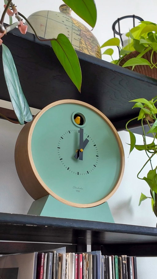 #ad 🕰️ A little something to make my shelf even more ✨me✨

The Cloudnola cuckoo clock is officially part of the loft… and it’s cat approved, obviously. 🐈

@cloudnola 

#Cloudnola #CuckooClock #HomeDecor #InteriorDesign