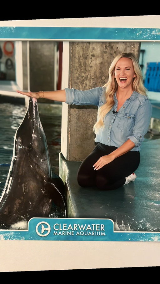One of the coolest experiences at @cmaquarium! 🐬 

This isn’t just a chance to see dolphins up close - it’s a chance to learn about how we can care for them in the wild. 

Thank goodness for places like @cmaquarium who care for these injured or rehomed animals. Thank you for this awesome opportunity! 

#clearwatermarineaquarium #conservation #education #dolphins #florida