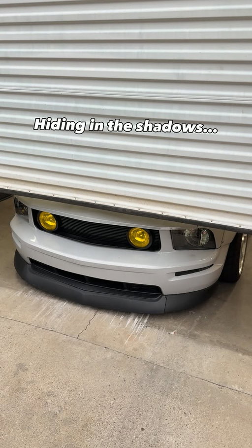 The S197 has such a face to it! I feel this way every time 😂 #fordmustang #newedge #fordmustangs #fordmustangsonly