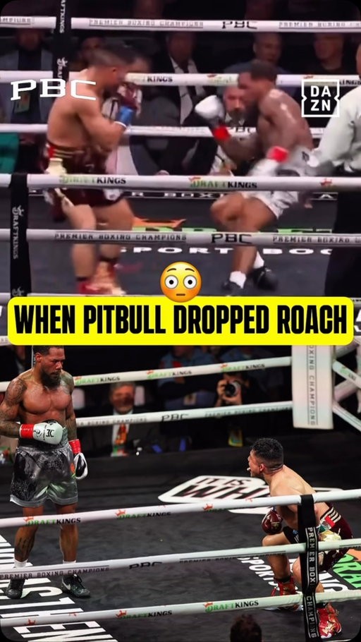 Pitbull’s POWER is no joke 😳😮‍💨

🎥 via: @premierboxing 

#PitbullBravo | Sept 19 | Live on DAZN ▪️